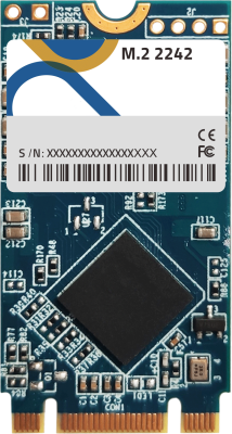 _Components_Accessories_M.2 2242 (SATA III) W.T. SSD, TLC [-40°C ~ 85°C] - 128GB